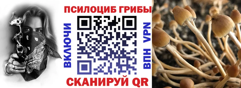 Псилоцибиновые грибы мухоморы  Купить  Макарьев 